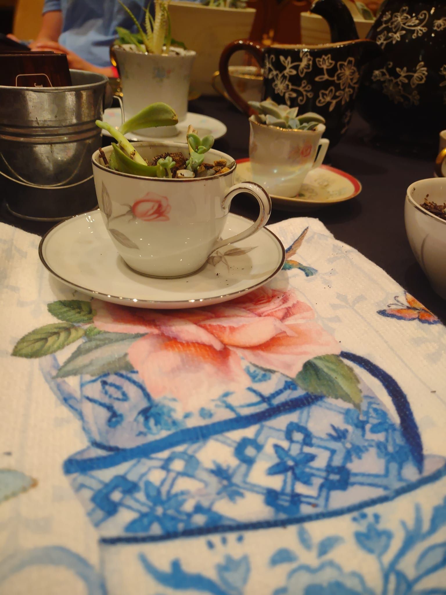 A cup and saucer with a plant in it on a table