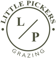 The Hollies Childcare Facility in Tonteg, Pontypridd - Logo