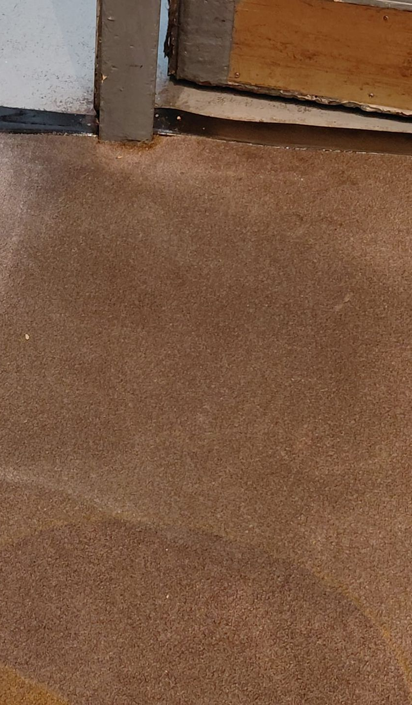 Brown textured carpet beside a gray doorframe and wood paneling