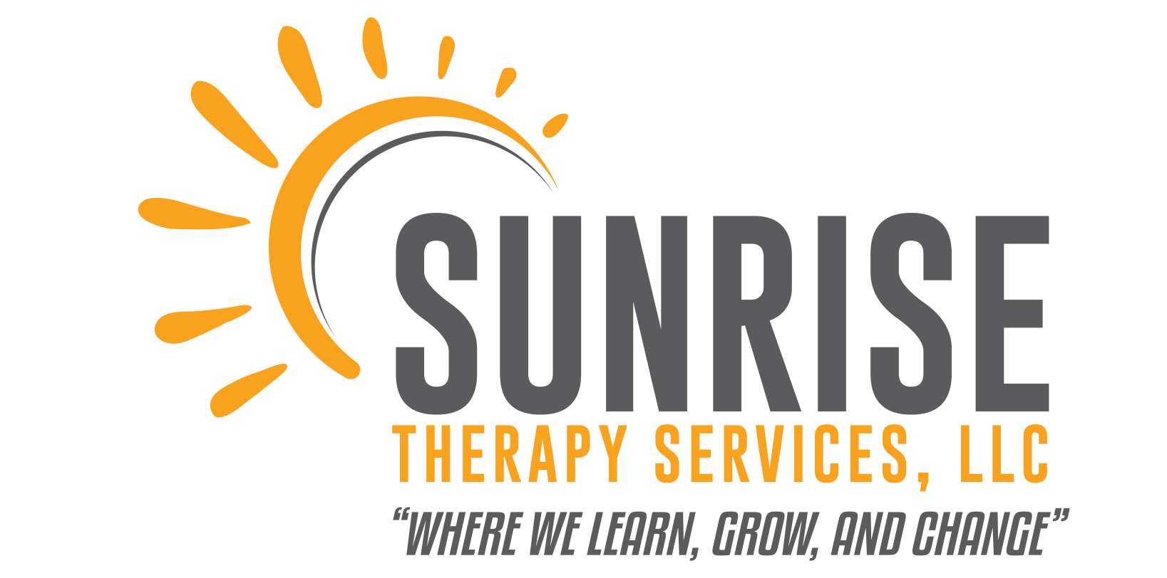 mental health therapist