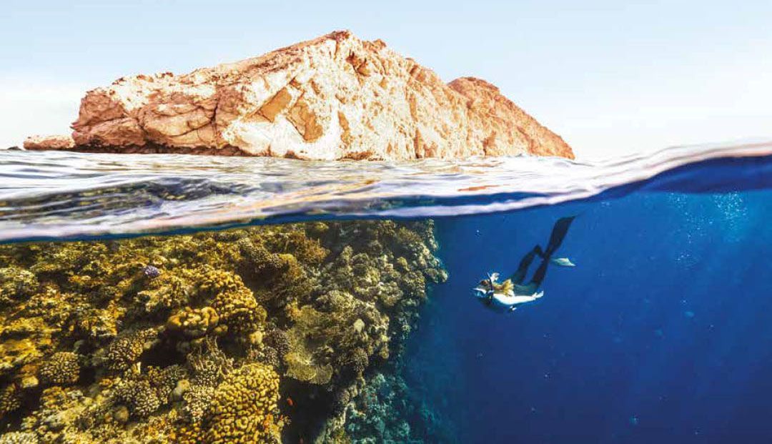 Snorkeler swimming above a coral reef with a rocky island visible above the waterline