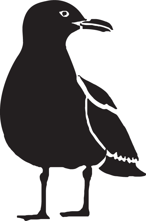 Black silhouette of a standing bird with white wing and beak details on a white background
