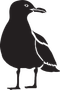 Black silhouette of a standing bird with white wing and beak details on a white background