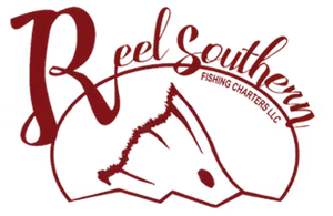 The dark red logo for "Reel Southern Fishing Charters LLC" features a stylized fish silhouette integrated into the text.