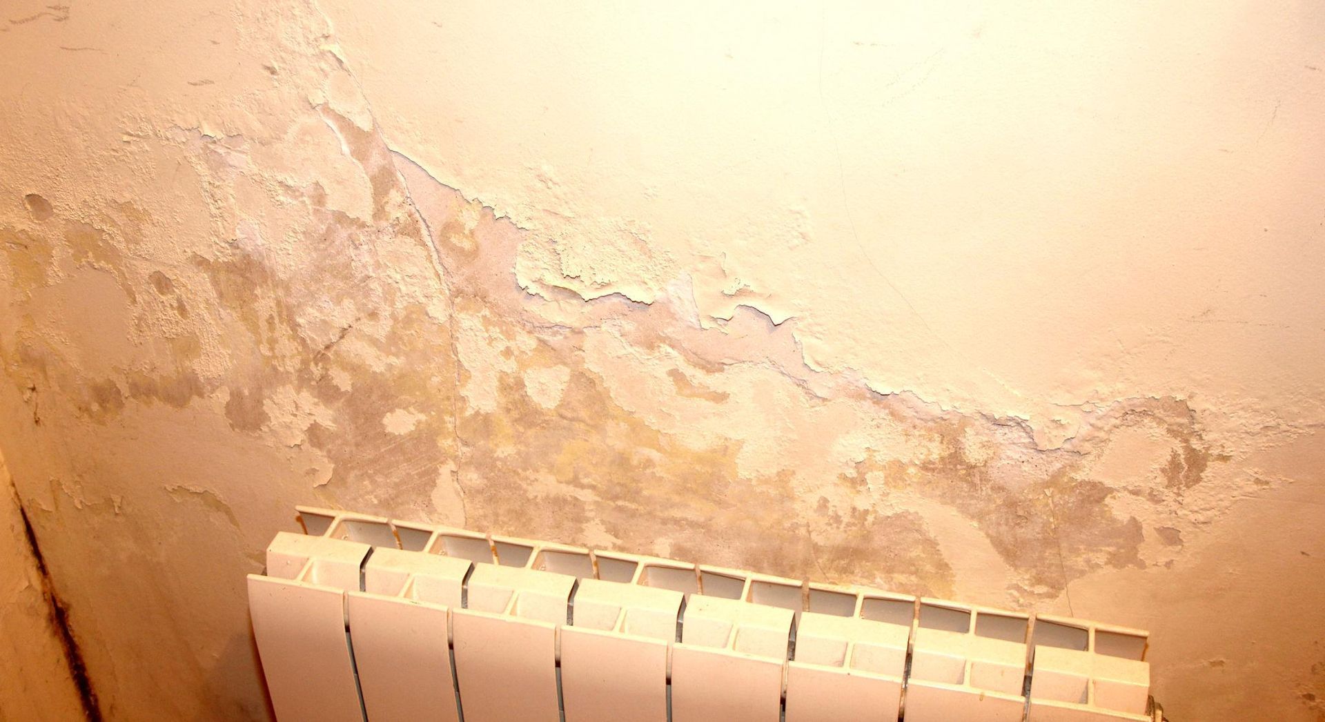 Water-damaged wall with peeling paint, adjacent to a white radiator.