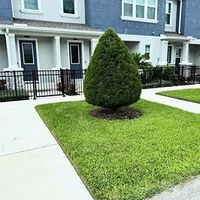 K2-Green-works-services-megamenu-tree-&-shrub-service