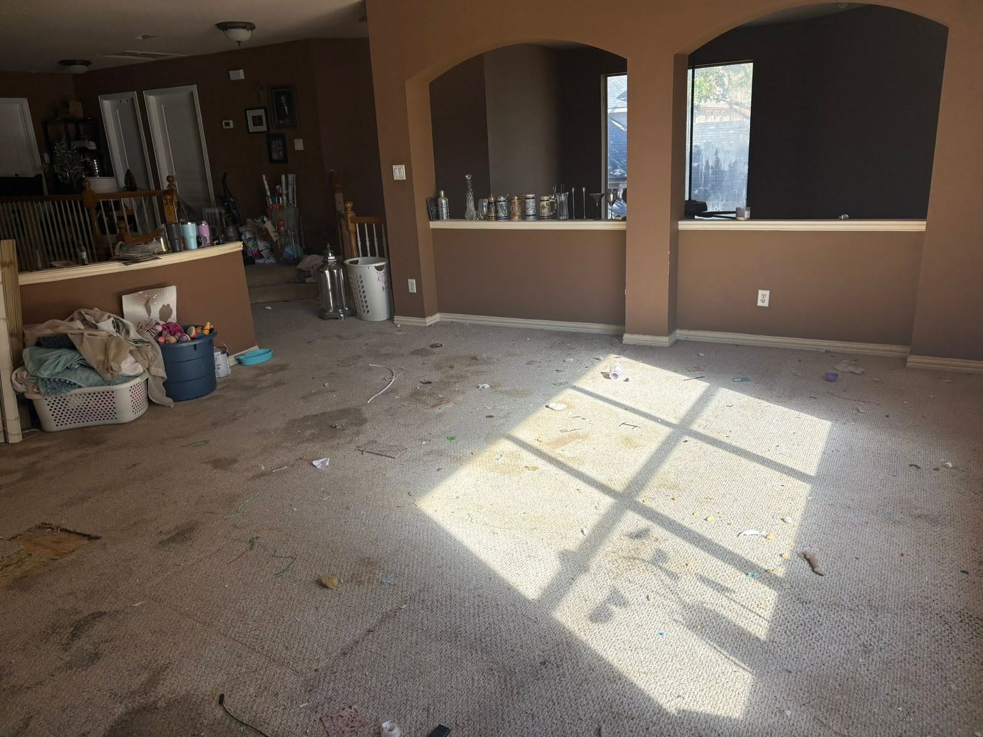 Empty carpeted living room with sunlight streaming through a window onto the floor