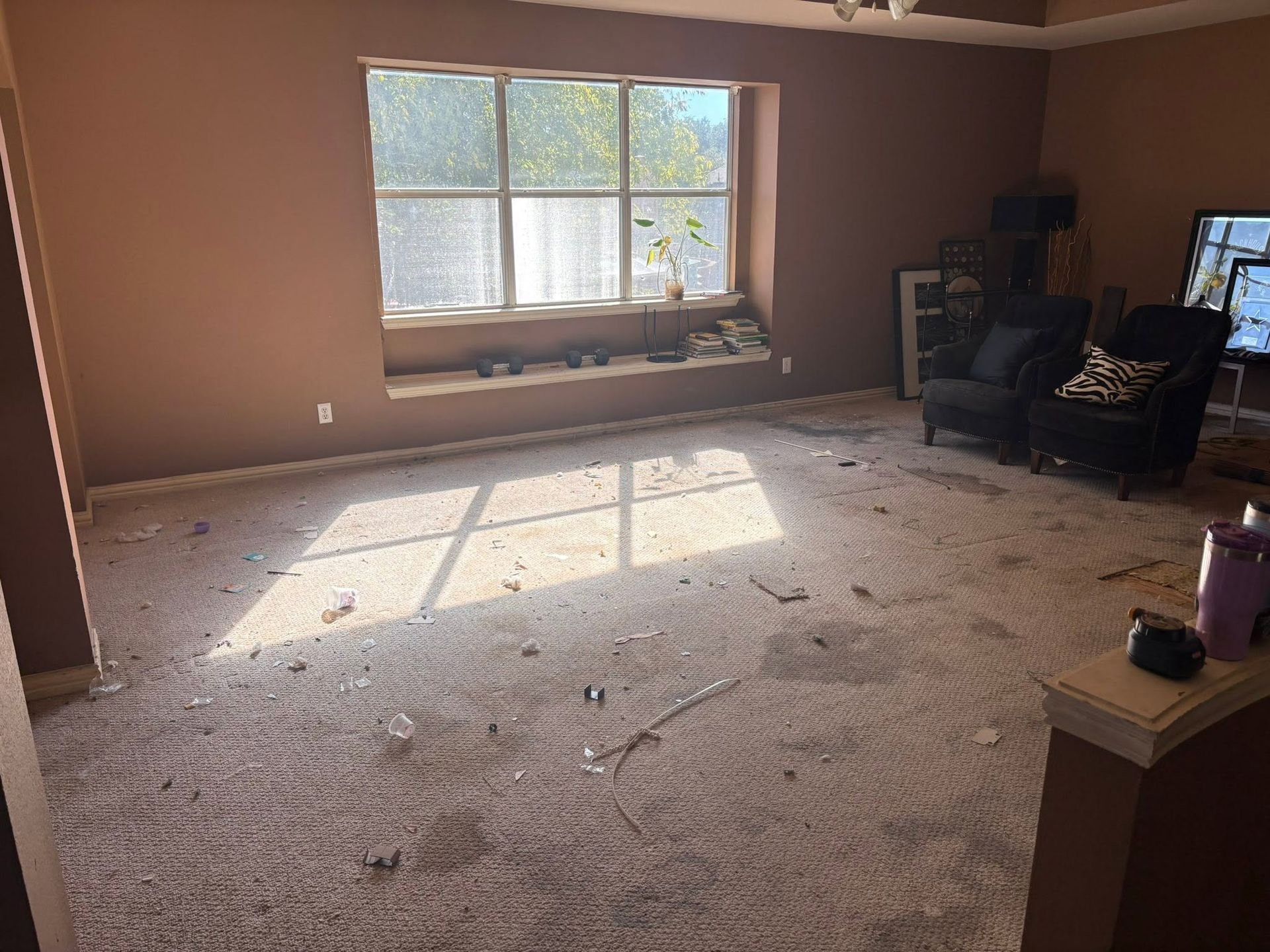 Empty beige living room with carpet debris and sunlight through a window