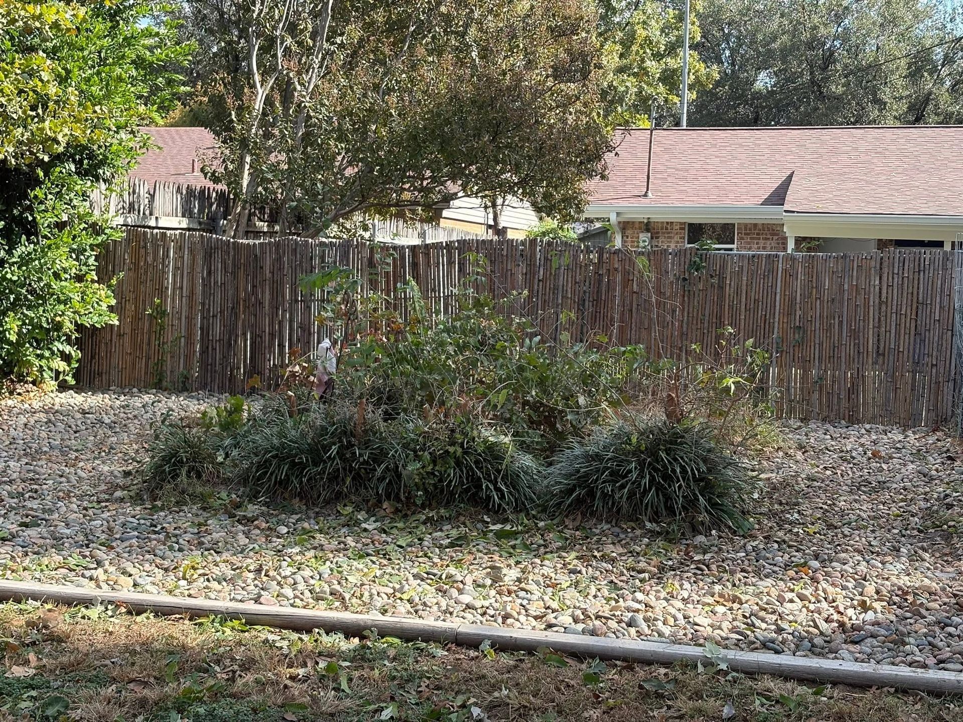 Backyard with a wooden fence, shrubs, and trees, covered in fallen leaves under bright sunlight