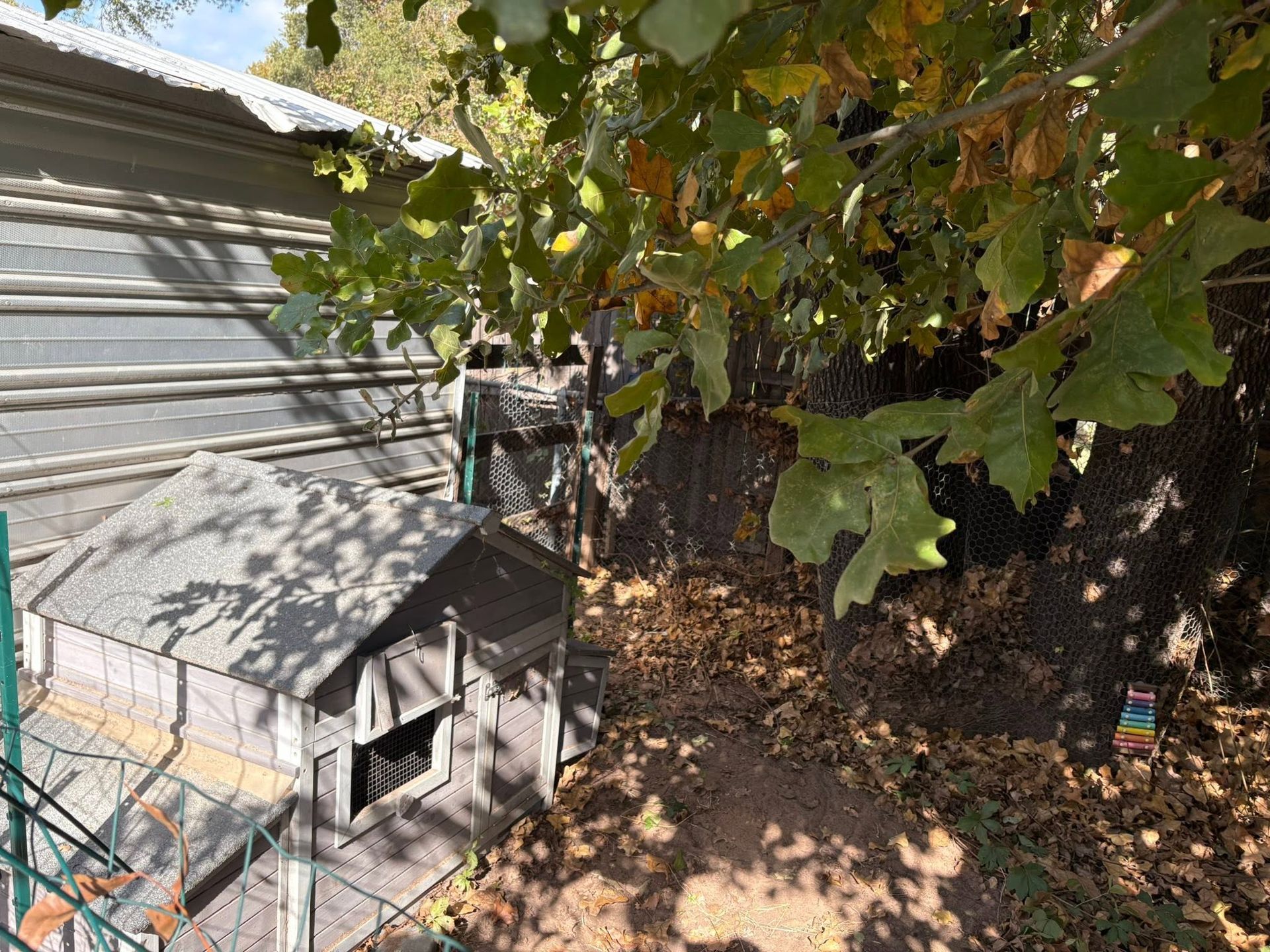 Backyard with a doghouse beside a house, shaded by a leafy tree and covered with fallen leaves