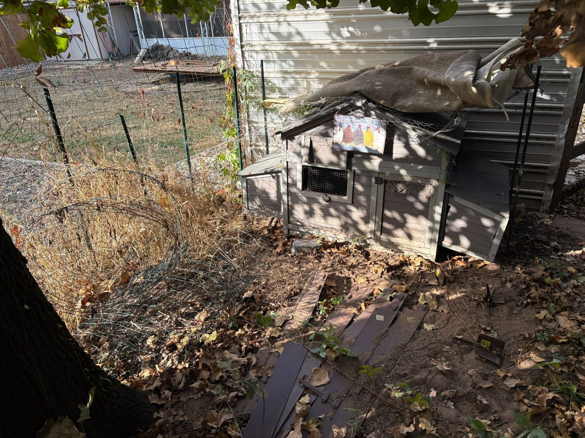Backyard shed beside a fence, surrounded by dry leaves and a tarp-covered roof.
