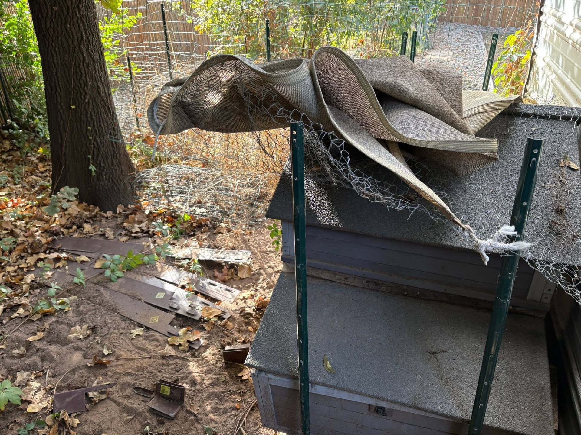 Two large snakes draped over a green mesh cage in an outdoor yard with trees and fallen leaves