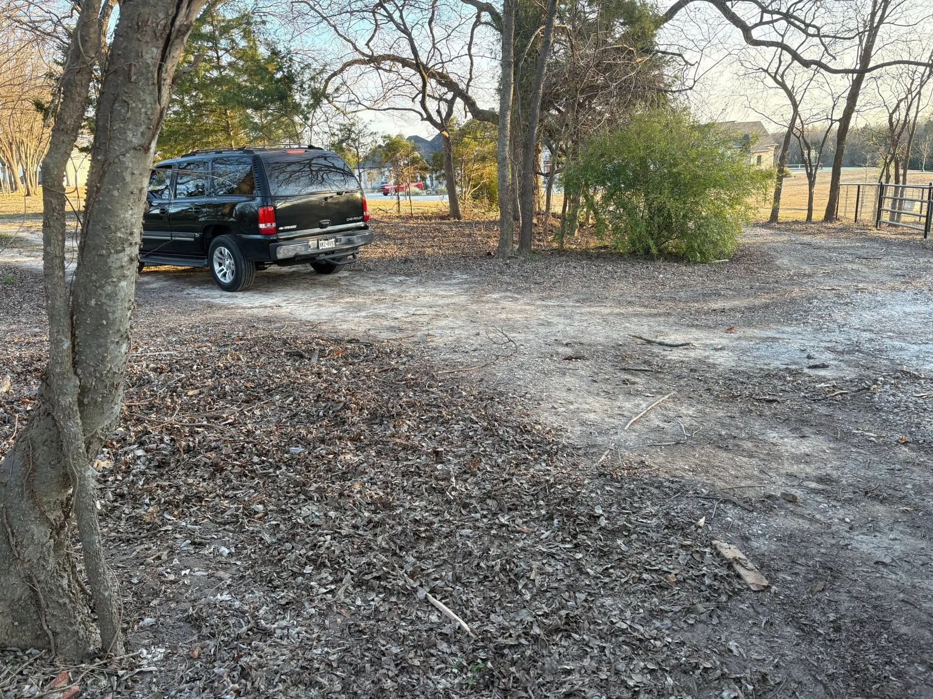 Black SUV parked on a leaf-covered dirt path among trees in a rural area