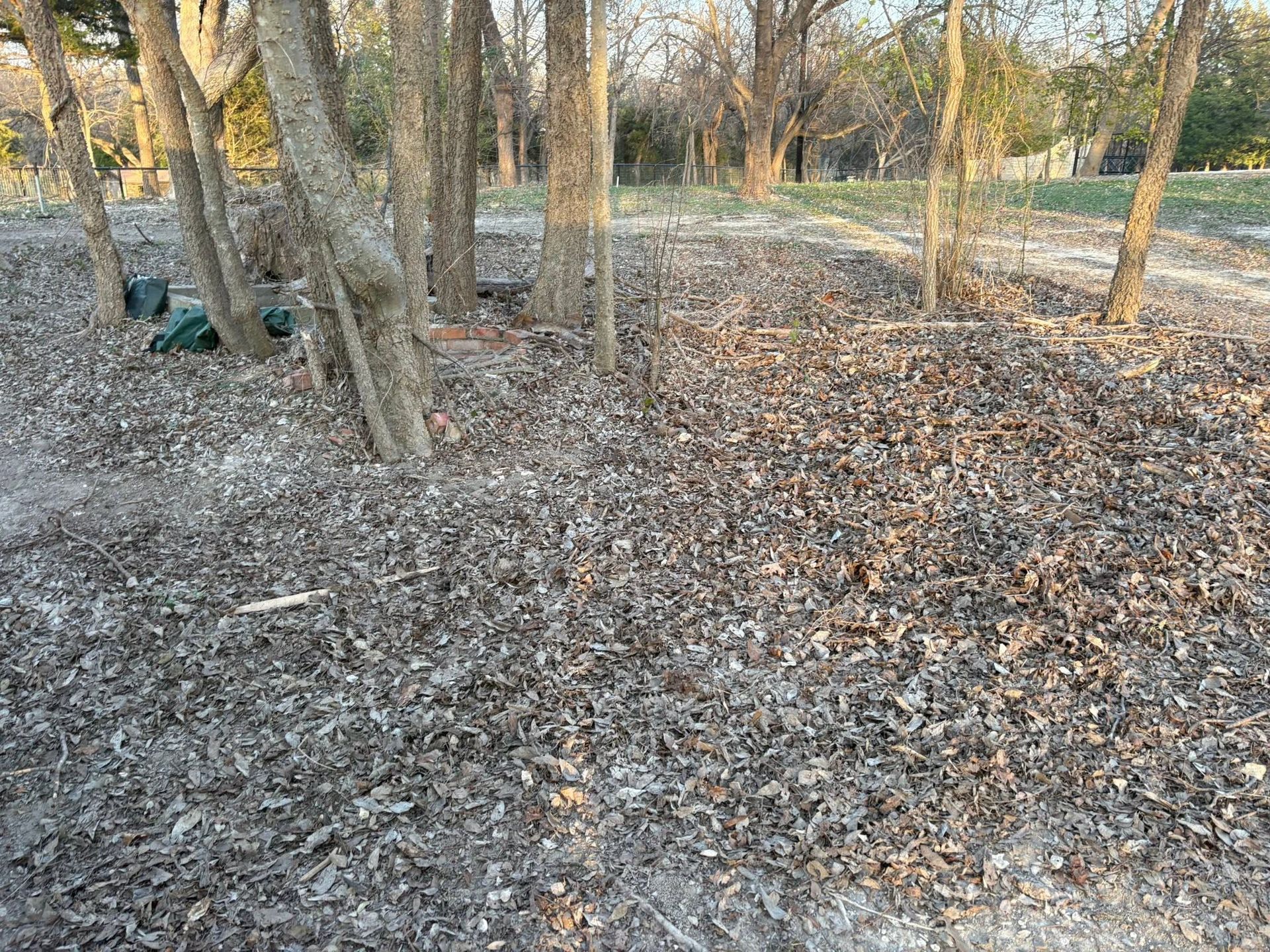 Leaf-covered woodland with bare trees and a small green tent in the distance