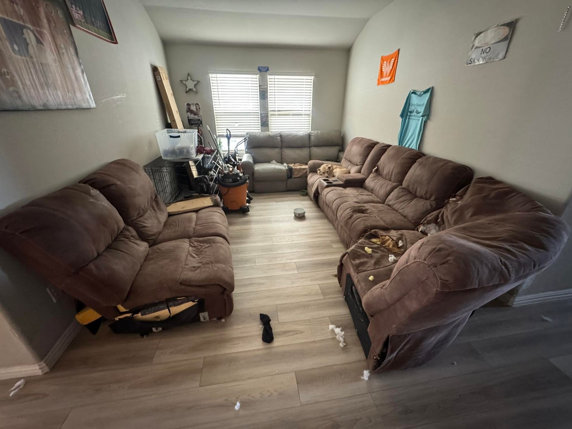 Messy living room with brown sectional sofas, plants, and a window with blinds.
