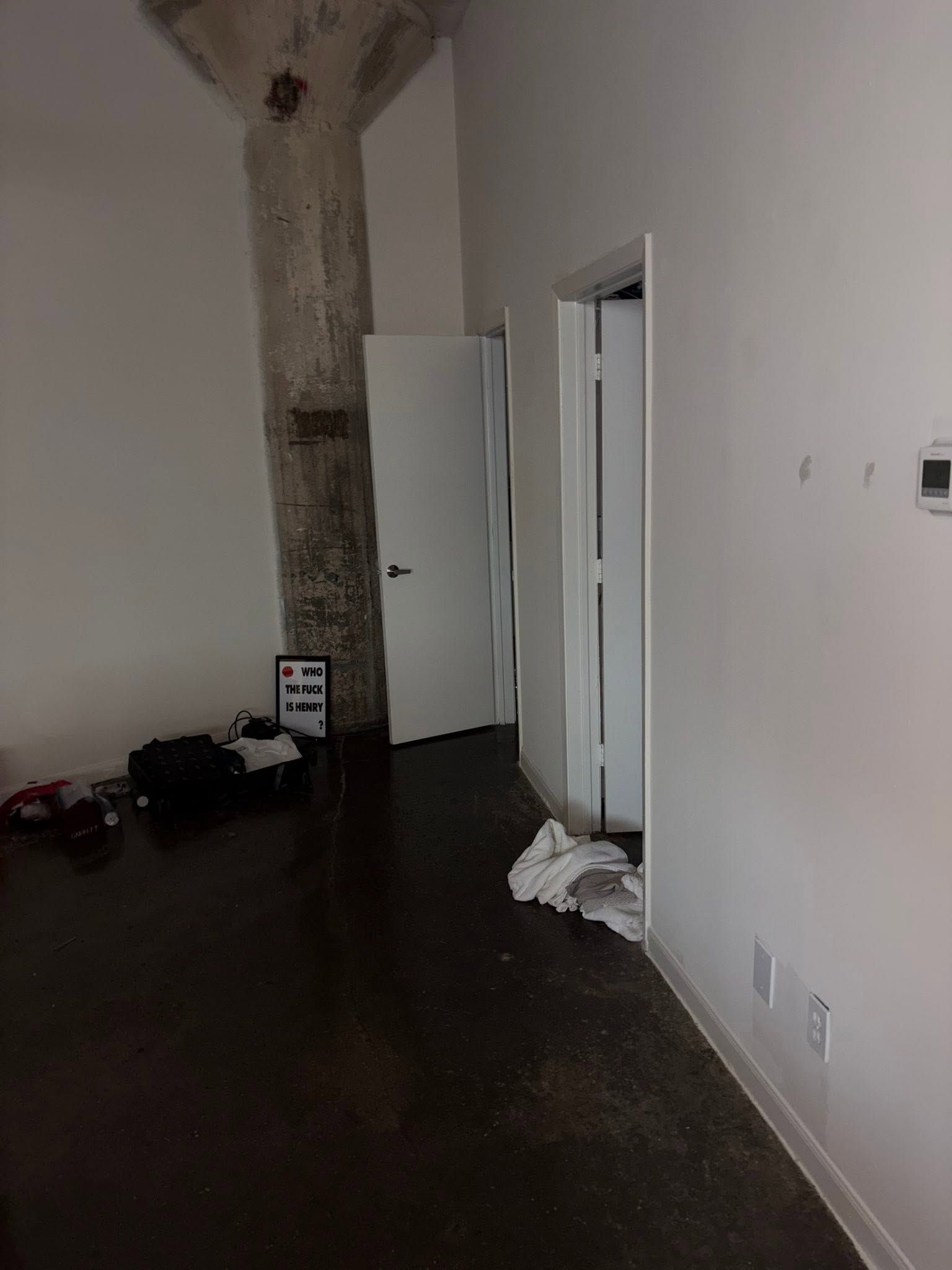 Empty room with dark floor, open door, and exposed tree trunk-like column near the wall.
