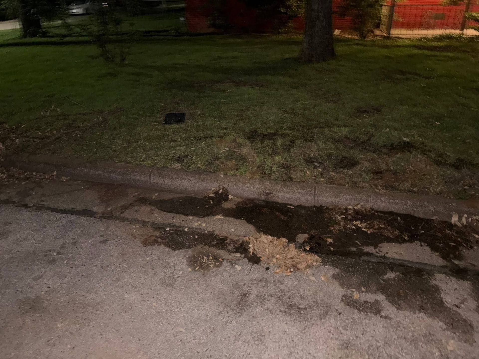Pothole and muddy water pooling along a curb beside a grassy lawn at night
