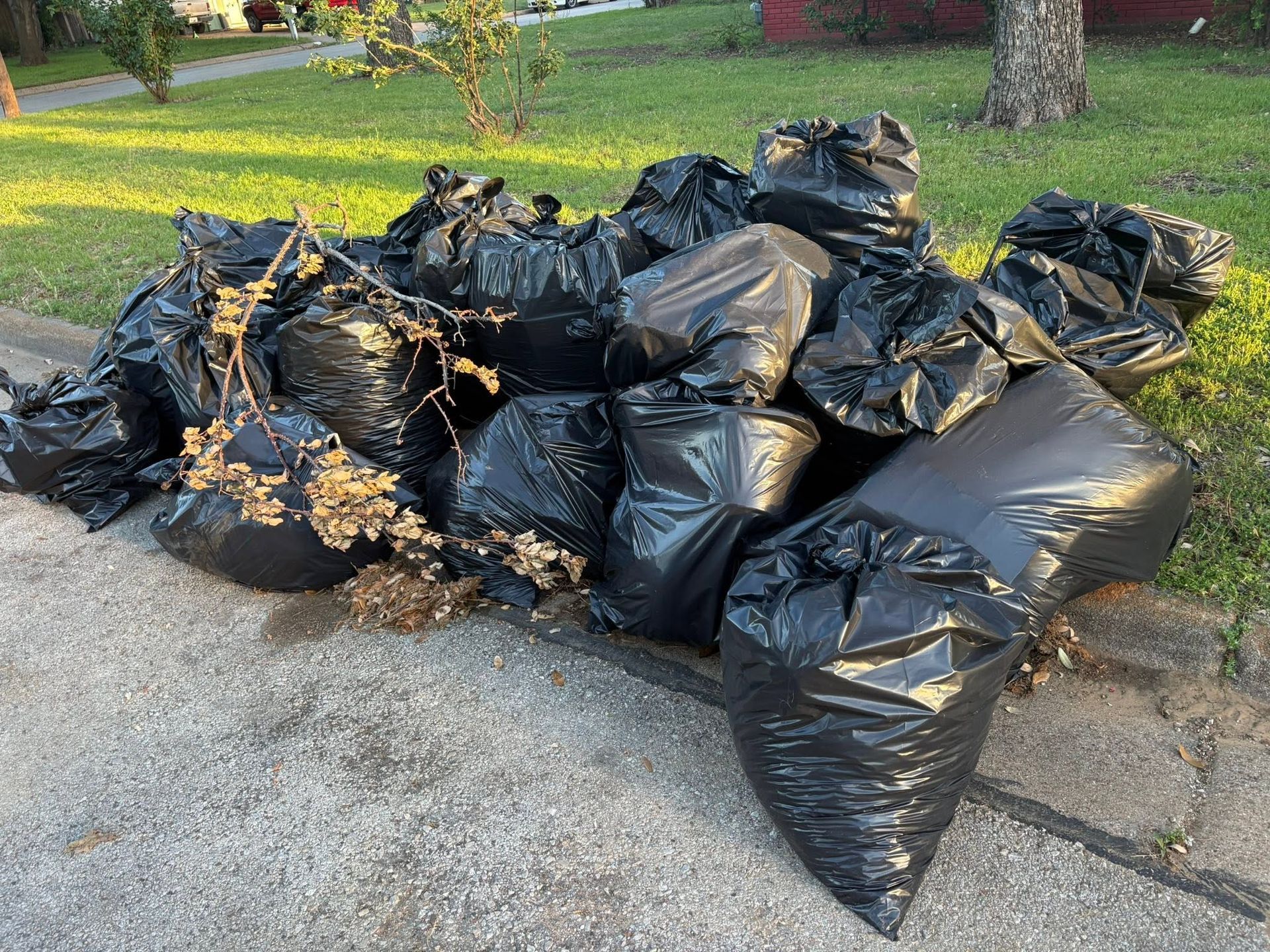 Pile of black trash bags and yard debris piled on a curb beside a street.