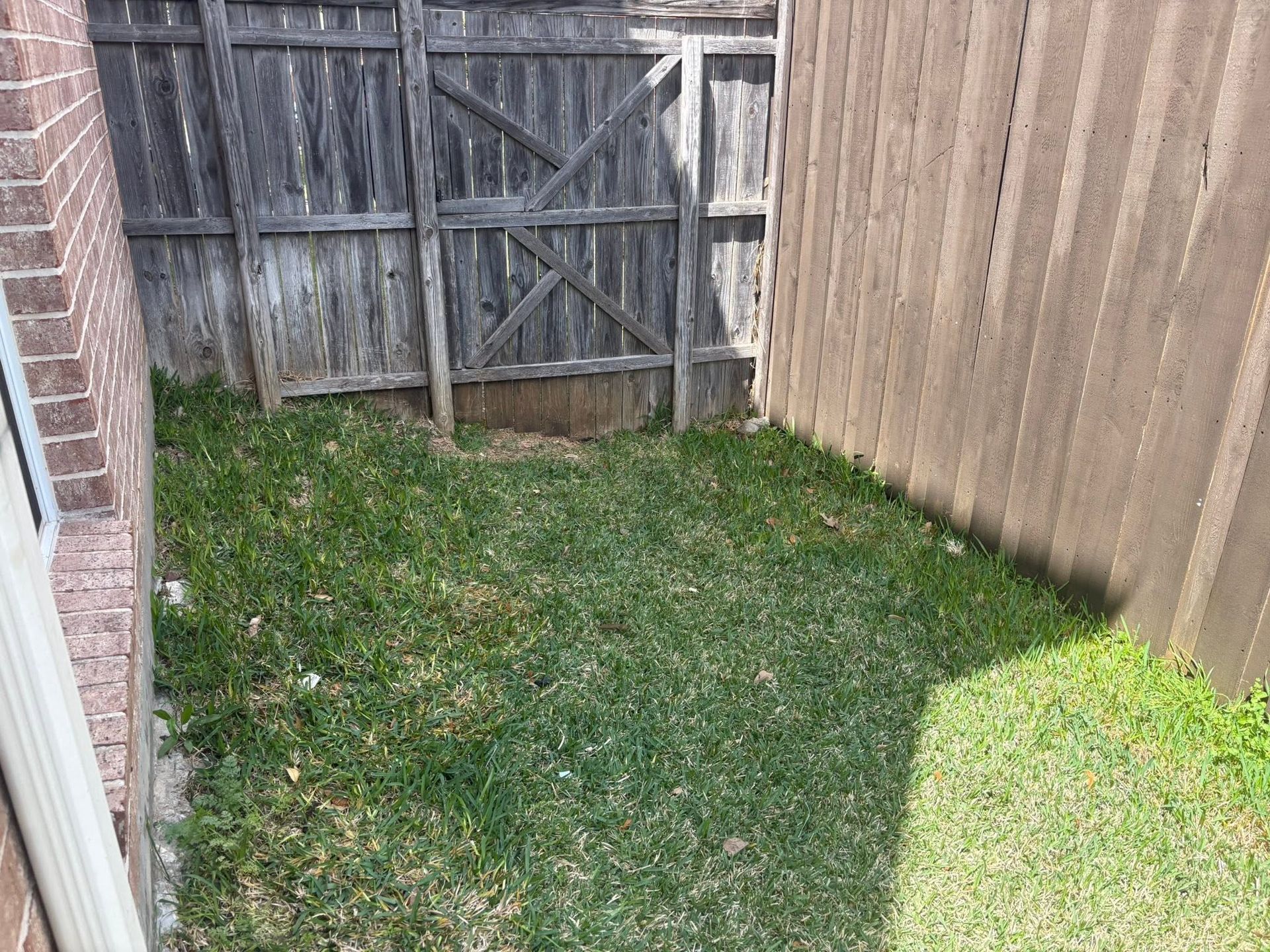 Narrow grassy backyard with a wooden fence and gate, brick wall on the left, and a shed-like wall on the right.