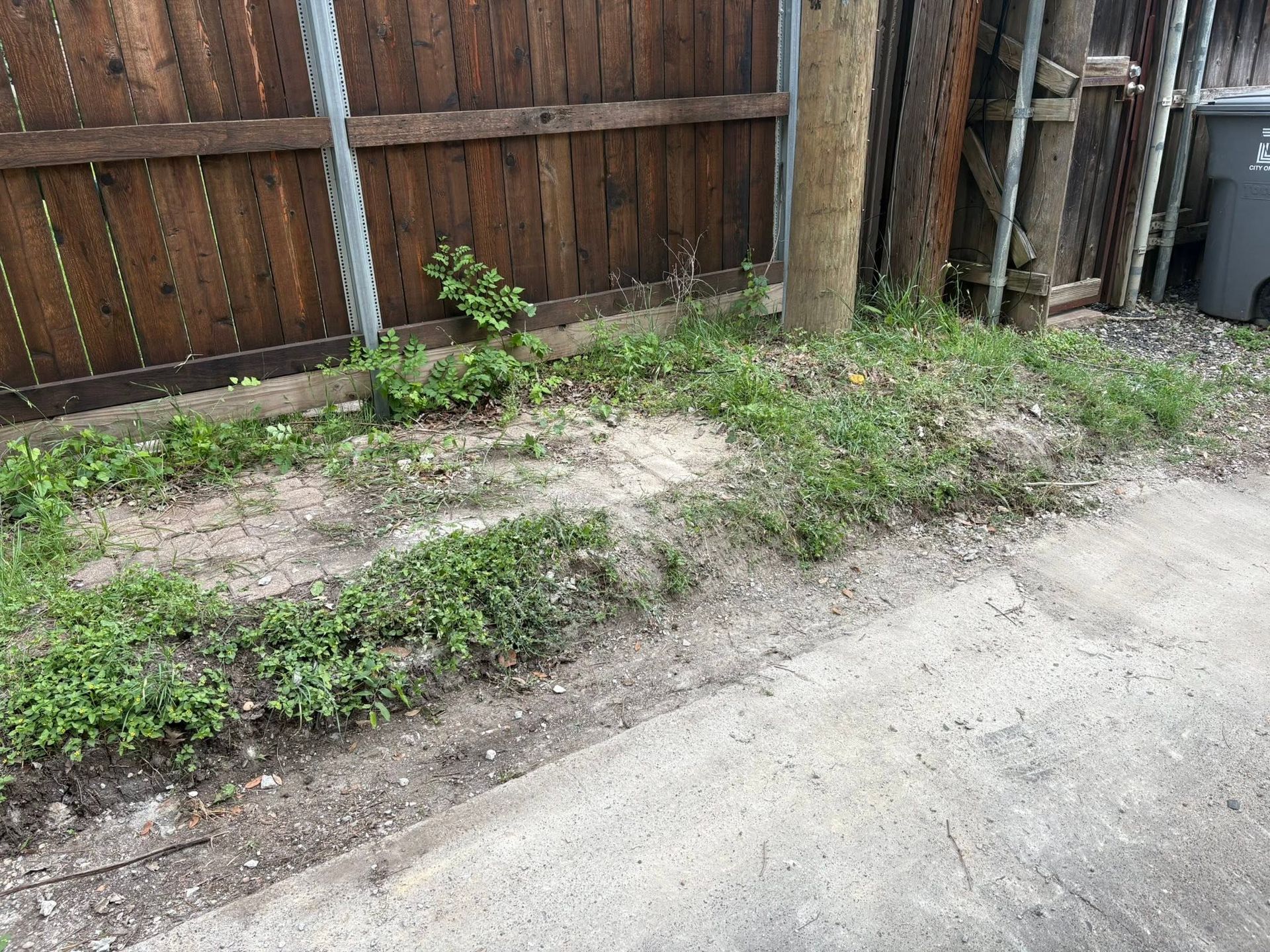 Weedy dirt strip beside a wooden fence and concrete driveway, with a trash bin at right.