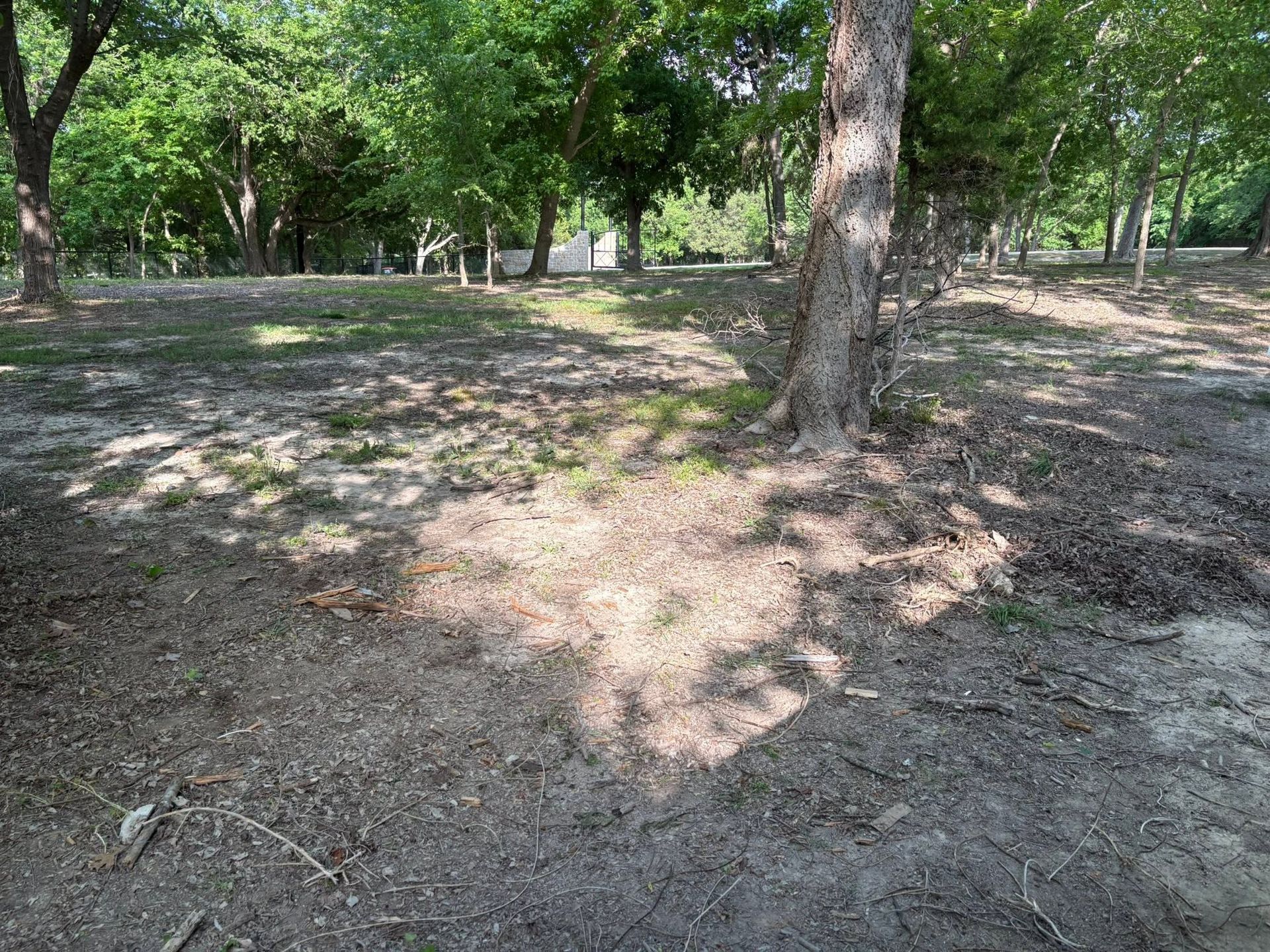 Shaded park with trees, sparse grass, and a dirt path around a tree trunk