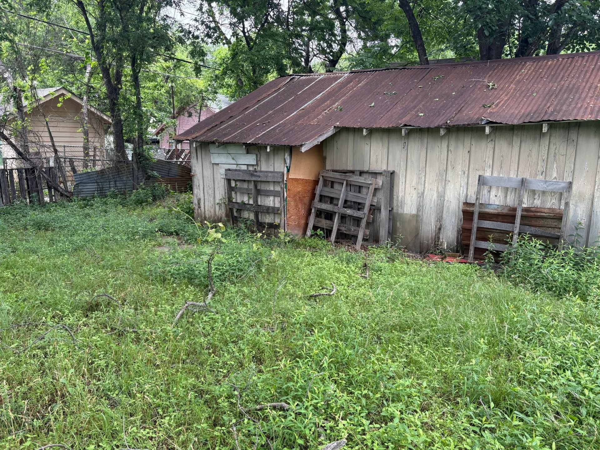 Old weathered shed with rusted roof in a grassy yard, surrounded by trees and overgrown vegetation