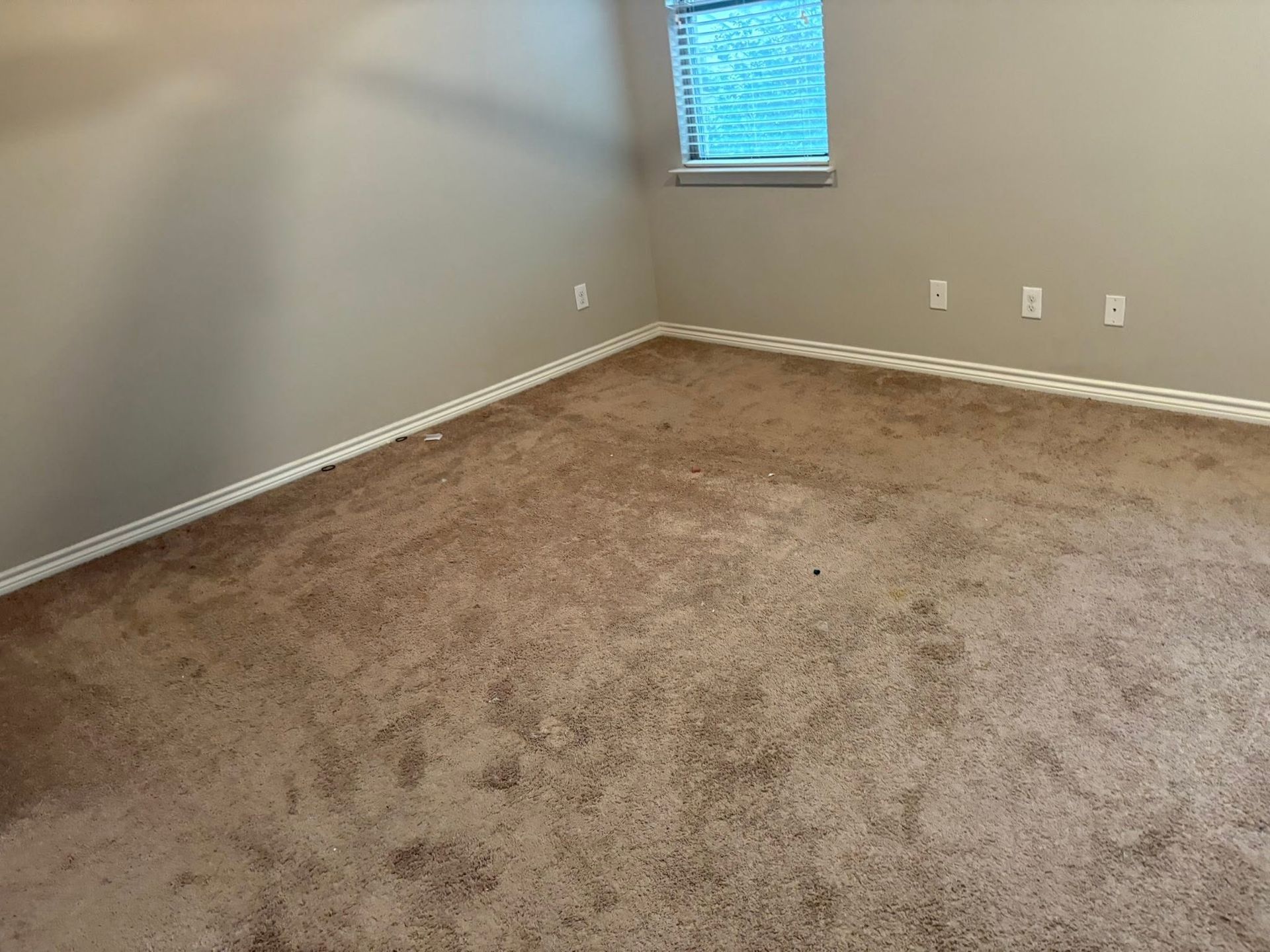 Empty beige carpeted room with gray walls and a small window with blinds