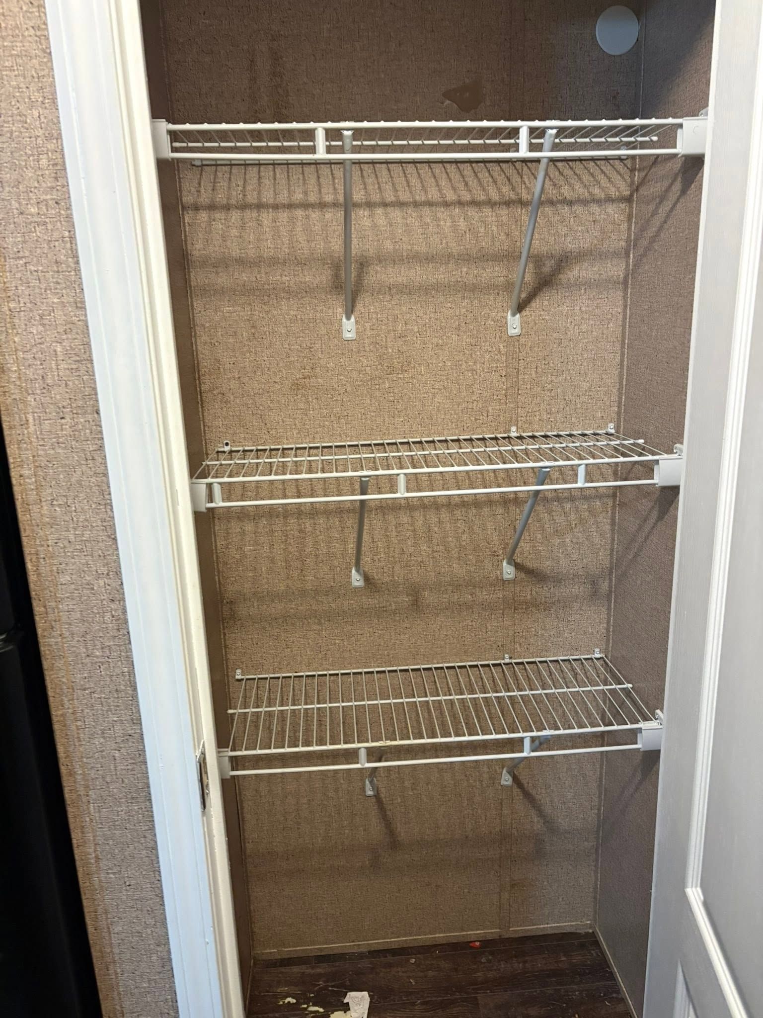 Open closet with beige carpet and white wire shelves, mostly empty.