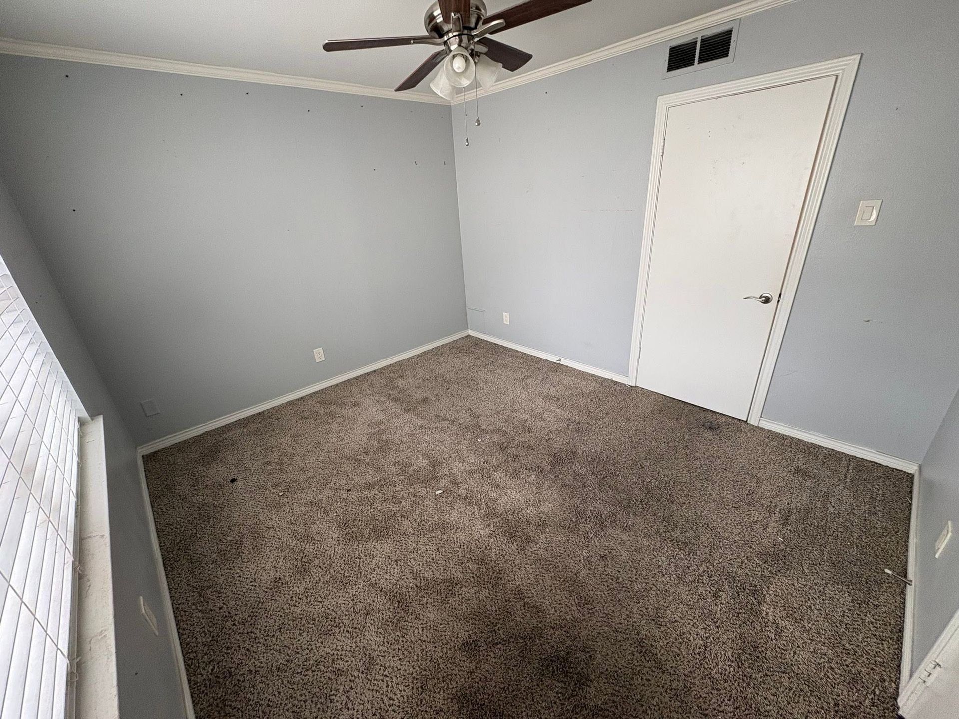 Empty carpeted bedroom with gray walls, white door, ceiling fan, and window blinds
