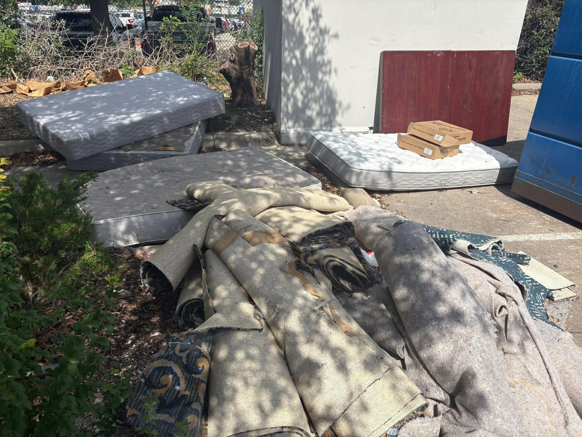 Piled mattresses and blankets on the ground beside a wall and shrubbery, with a cardboard box on one mattress