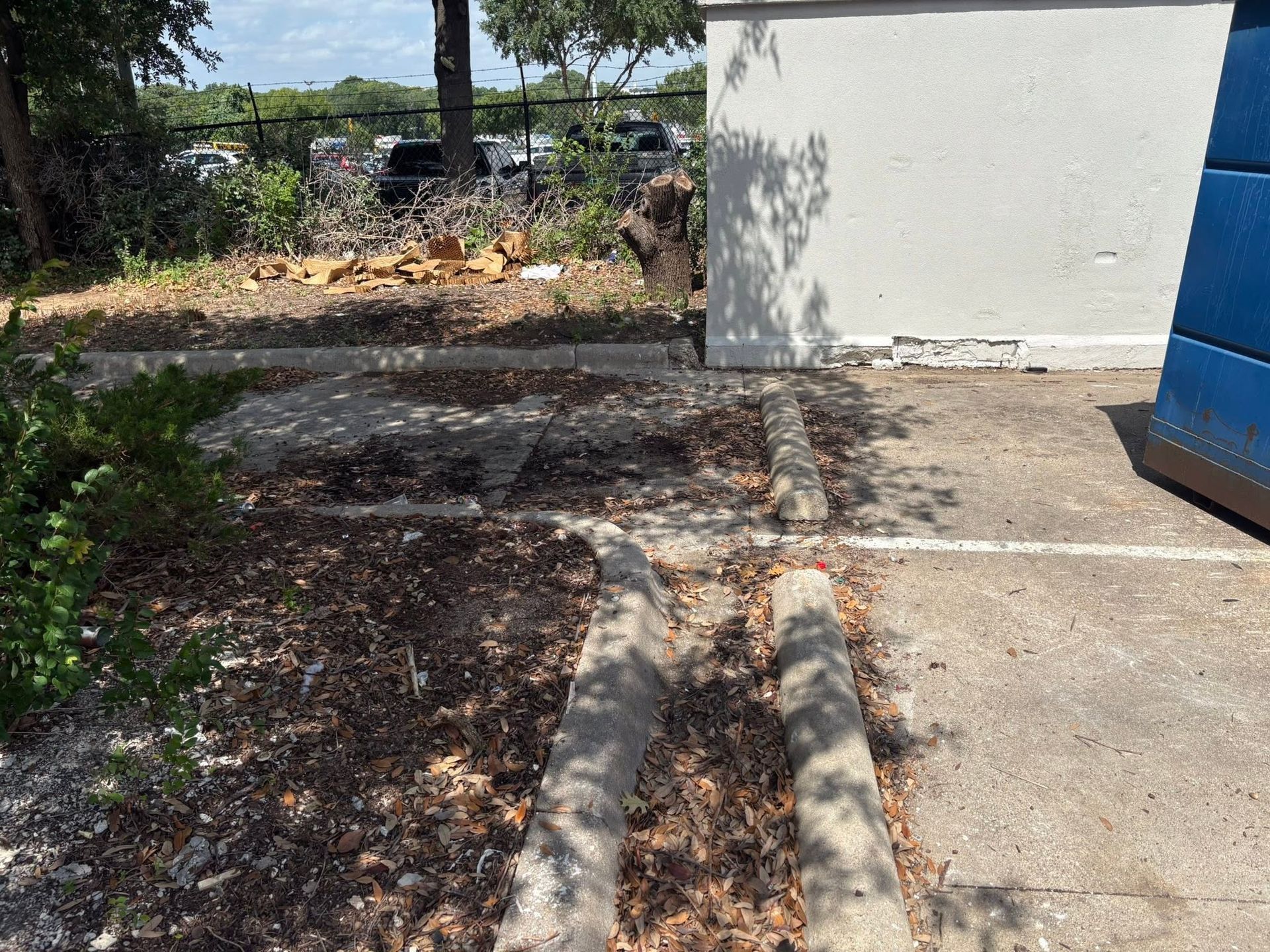 Empty concrete walkway beside a white building, with a blue bin and trees in the background.