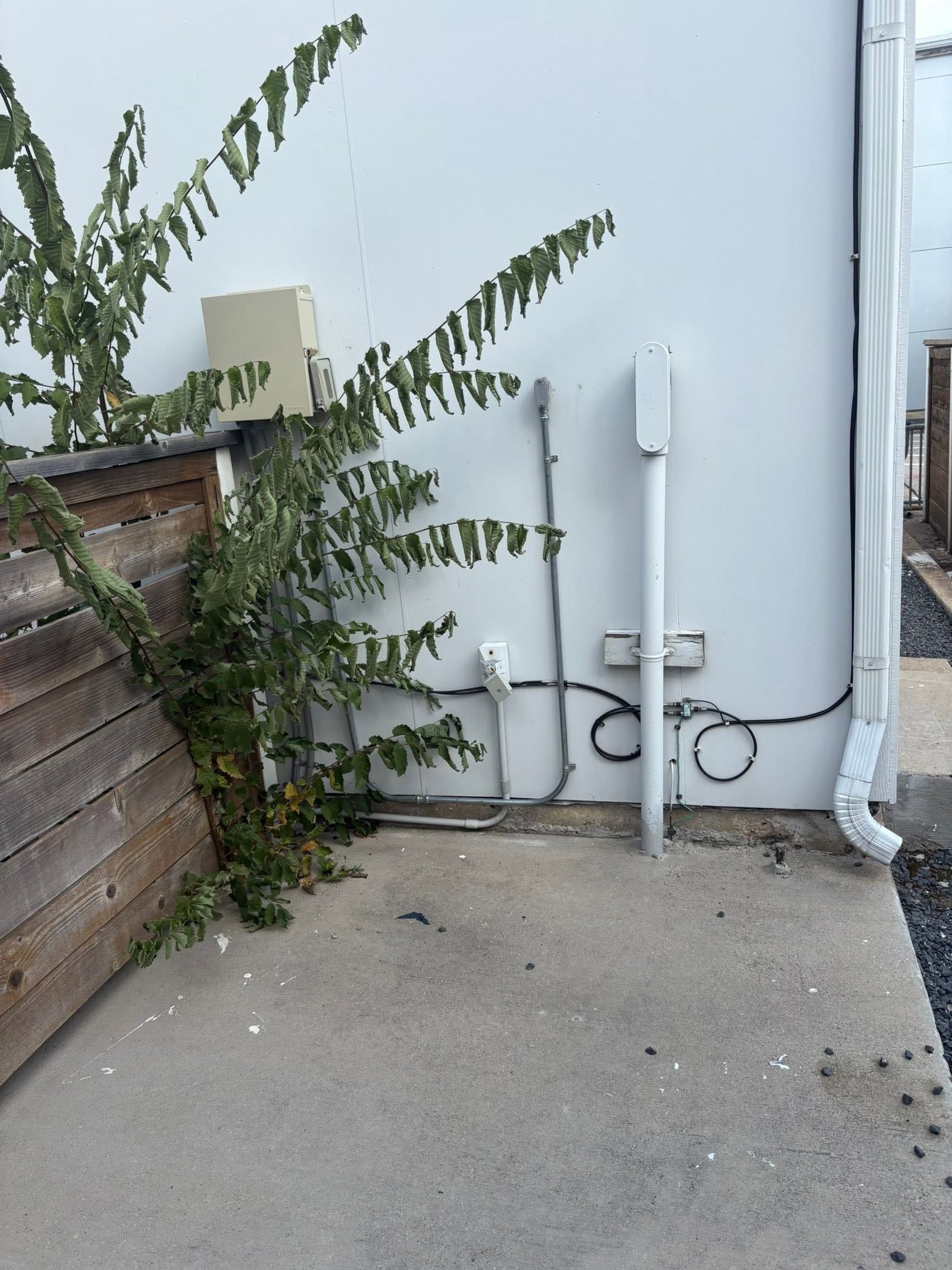 White utility tank and pipes beside a wooden fence with overgrown green vines on a concrete patio