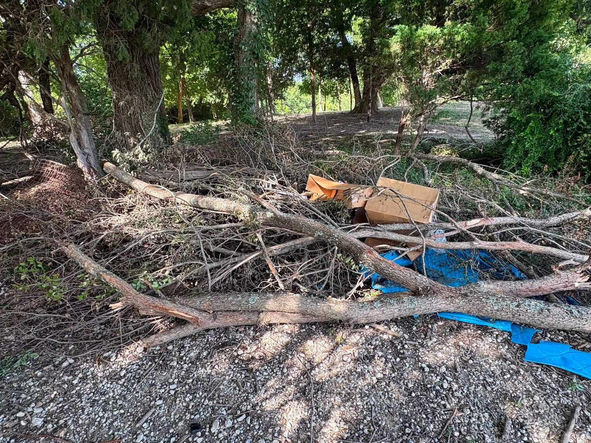 Fallen branches and debris scattered on a wooded path, with a blue hose and cardboard boxes visible