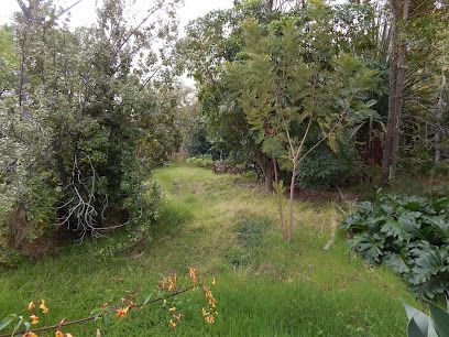 Botanic Gardens