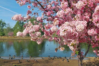 Lake Balboa