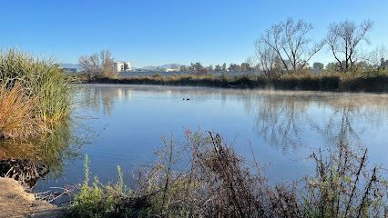 Sepulveda Basin Wildlife