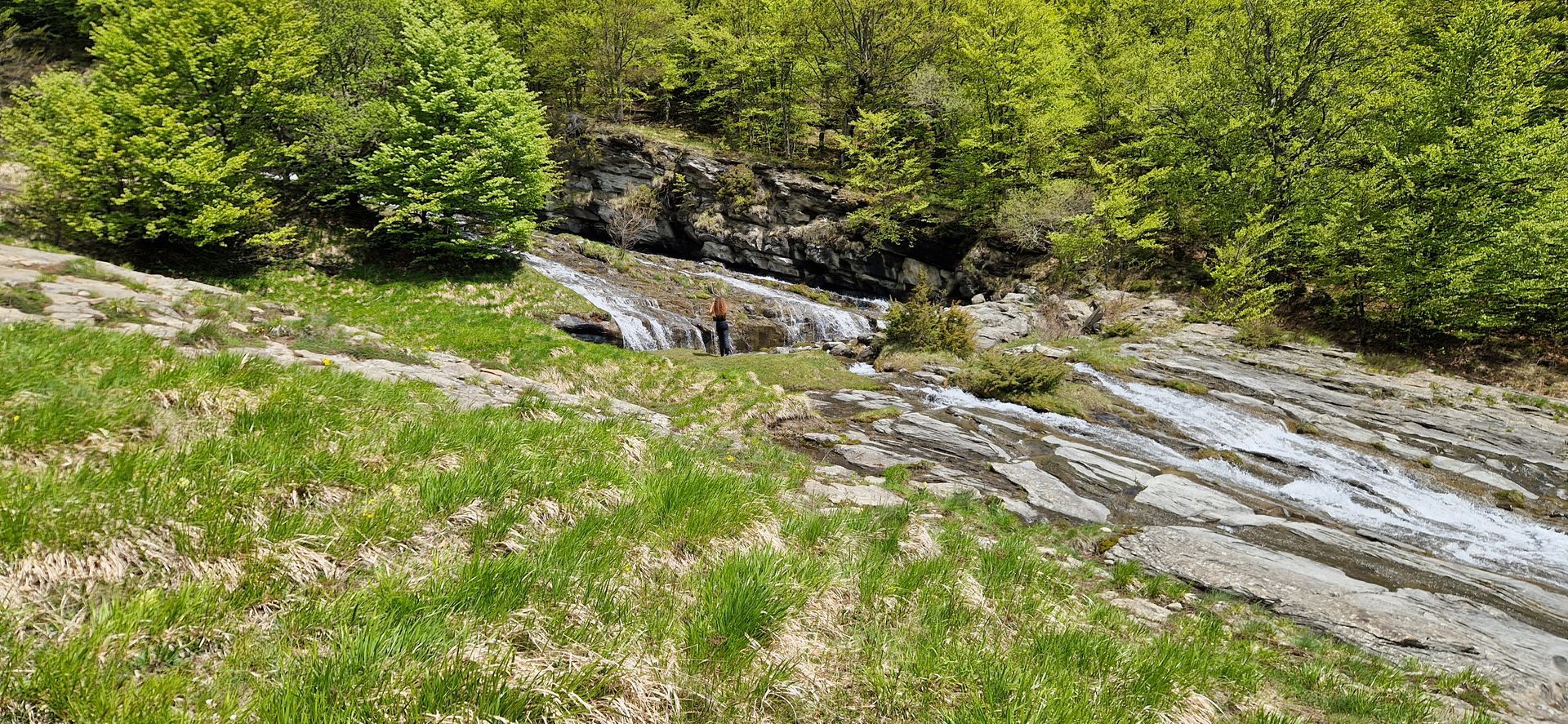 Un piccolo ruscello poco profondo scorre su rocce grigie e stratificate in un prato erboso, delimitato da alberi verdi.
