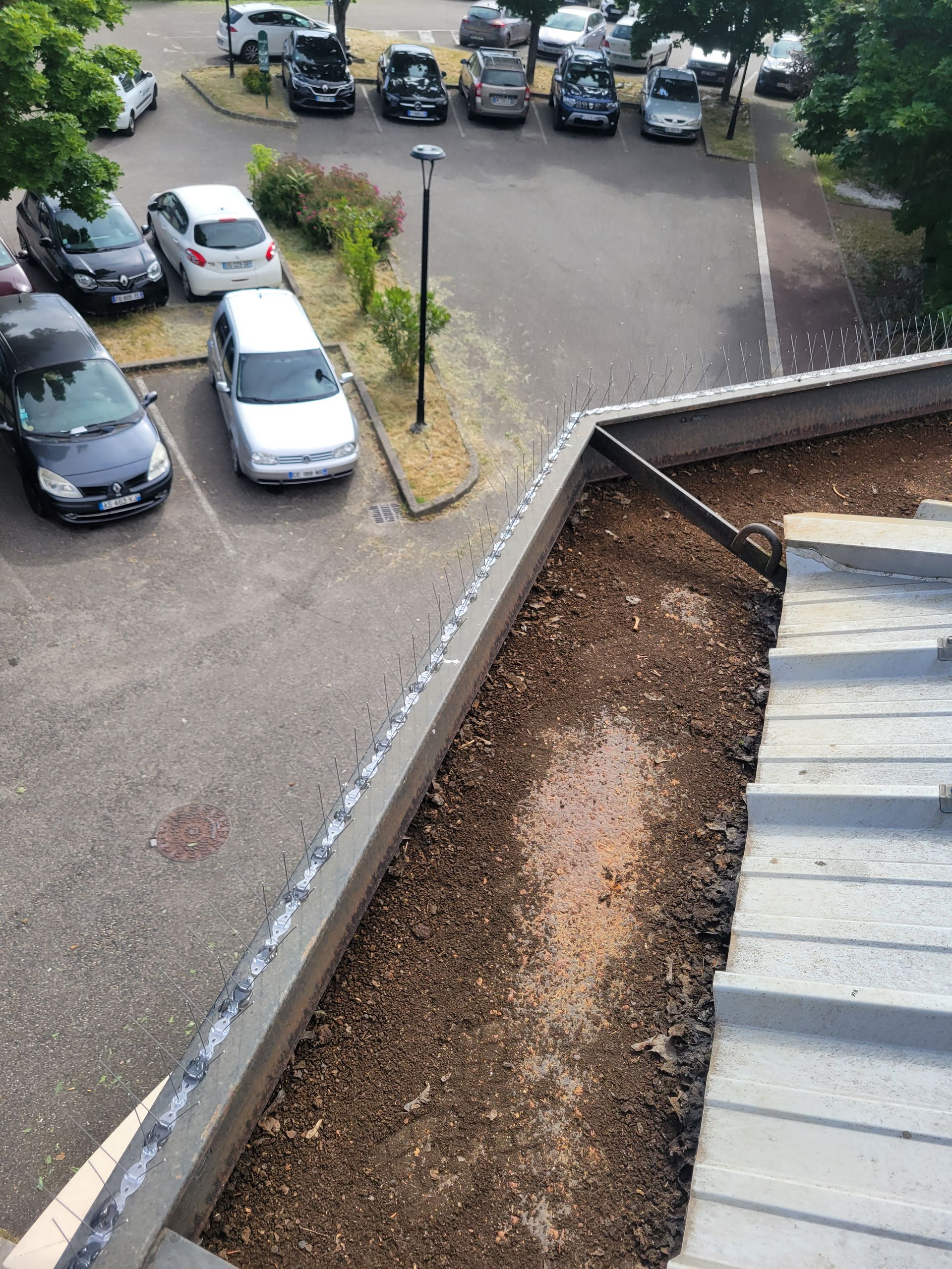Pics anti pigeons sur une toiture