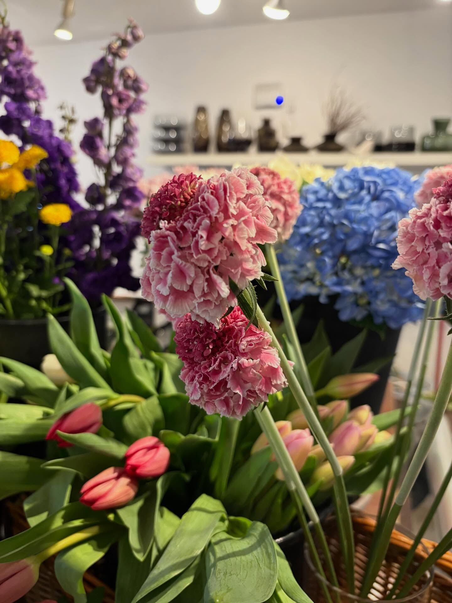 Des bouquets de fleurs colorés dans une boutique de fleurs, comprenant des fleurs roses, violettes, bleues et rouges parmi des feuilles vertes