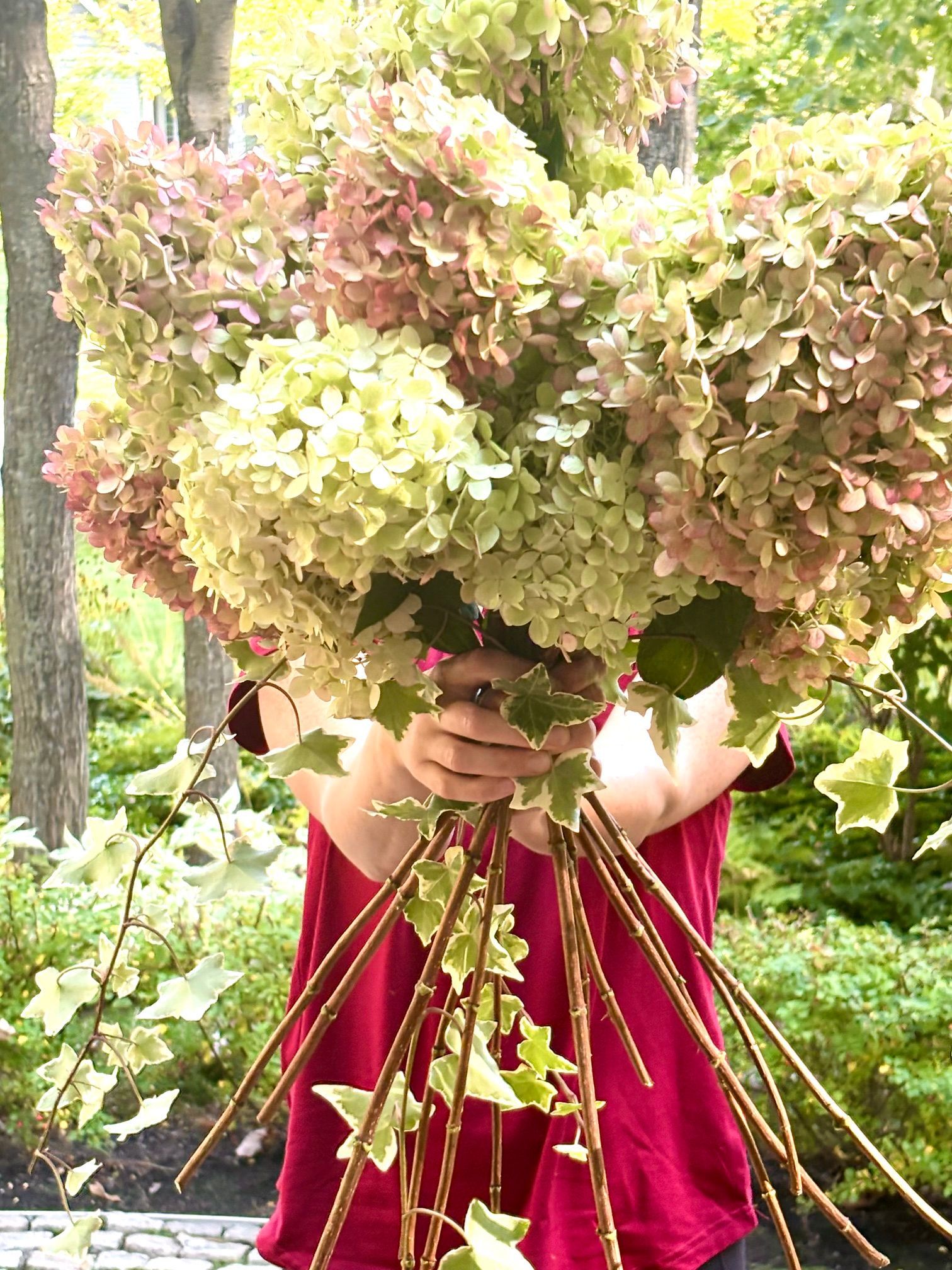 Une personne tenant un grand bouquet d'hortensias dans un jardin