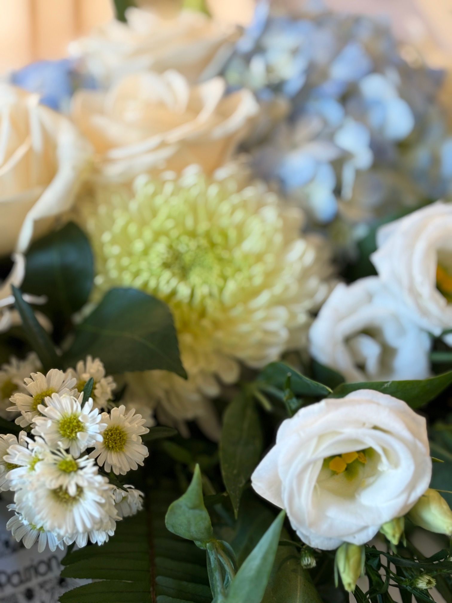Fleurs blanches et bleu pâle avec feuillage vert dans une composition florale douce et rapprochée