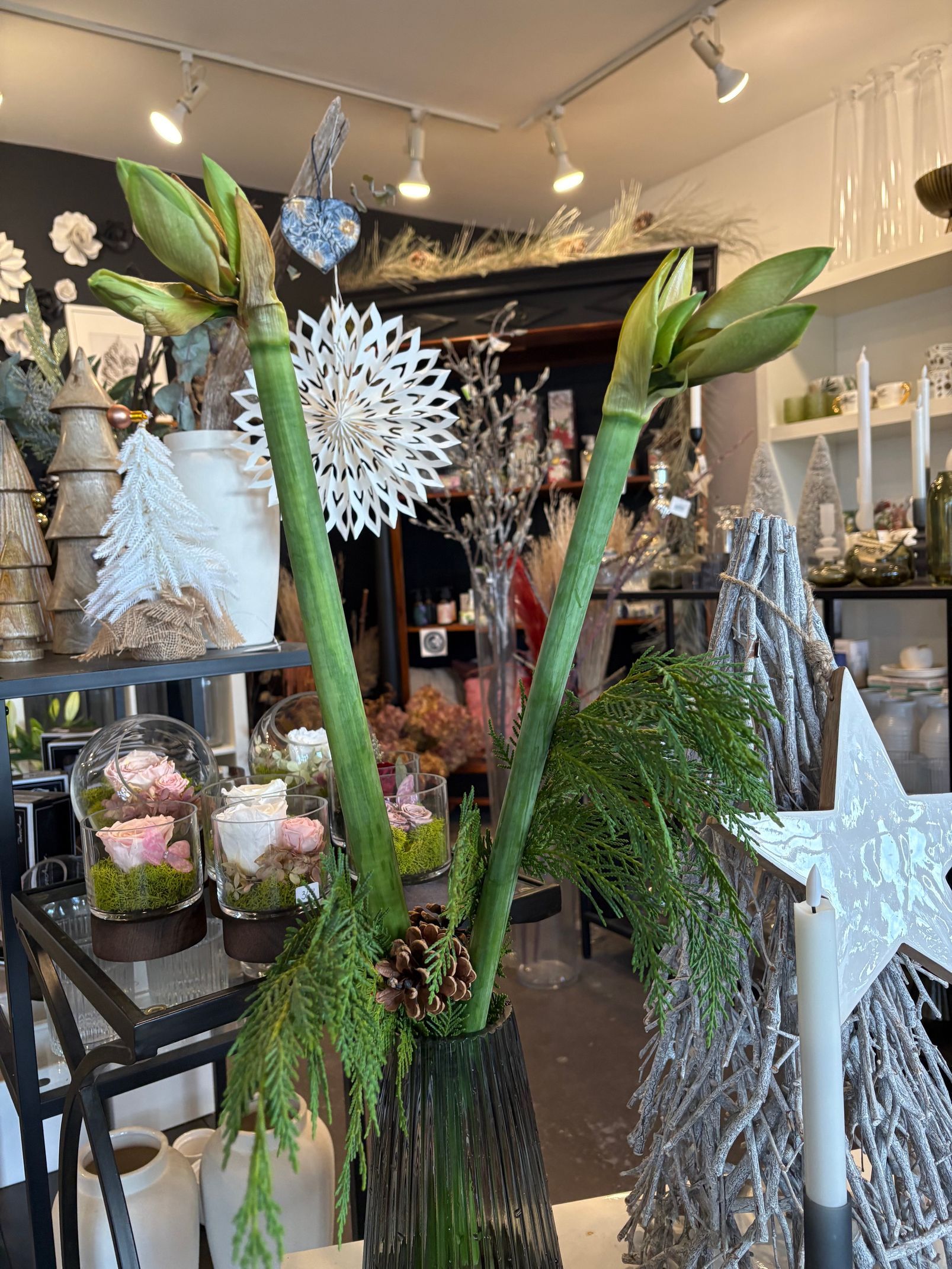 Intérieur d'une boutique de fleurs avec de hautes tiges vertes, des ornements en forme d'étoiles blanches et des étagères remplies de décorations florales.