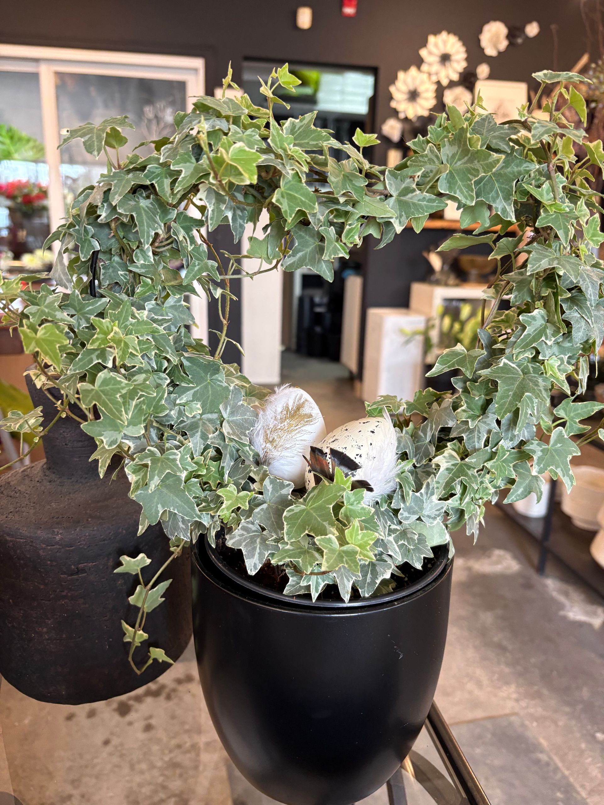 Lierre grimpant dans un pot noir orné de motifs blancs, disposé à l'intérieur sur une table