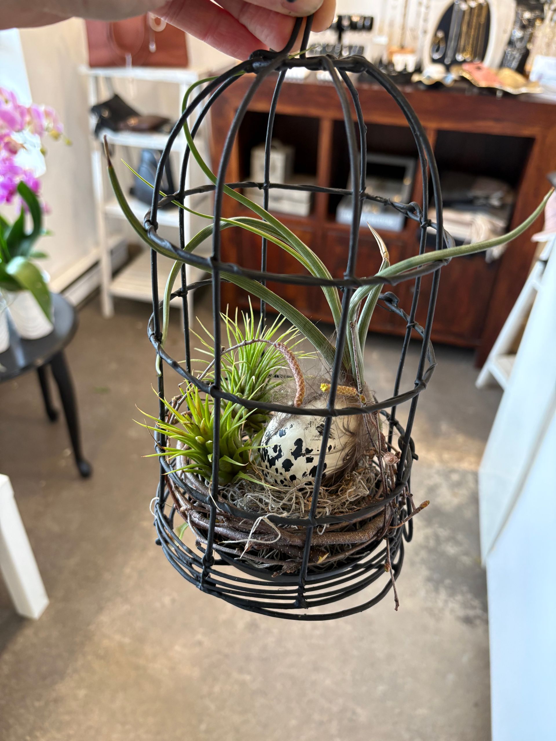 Jardinière portable en fil de fer noir en forme de cage à oiseaux, avec des plantes succulentes et de la mousse, posée sur une table à l'intérieur.