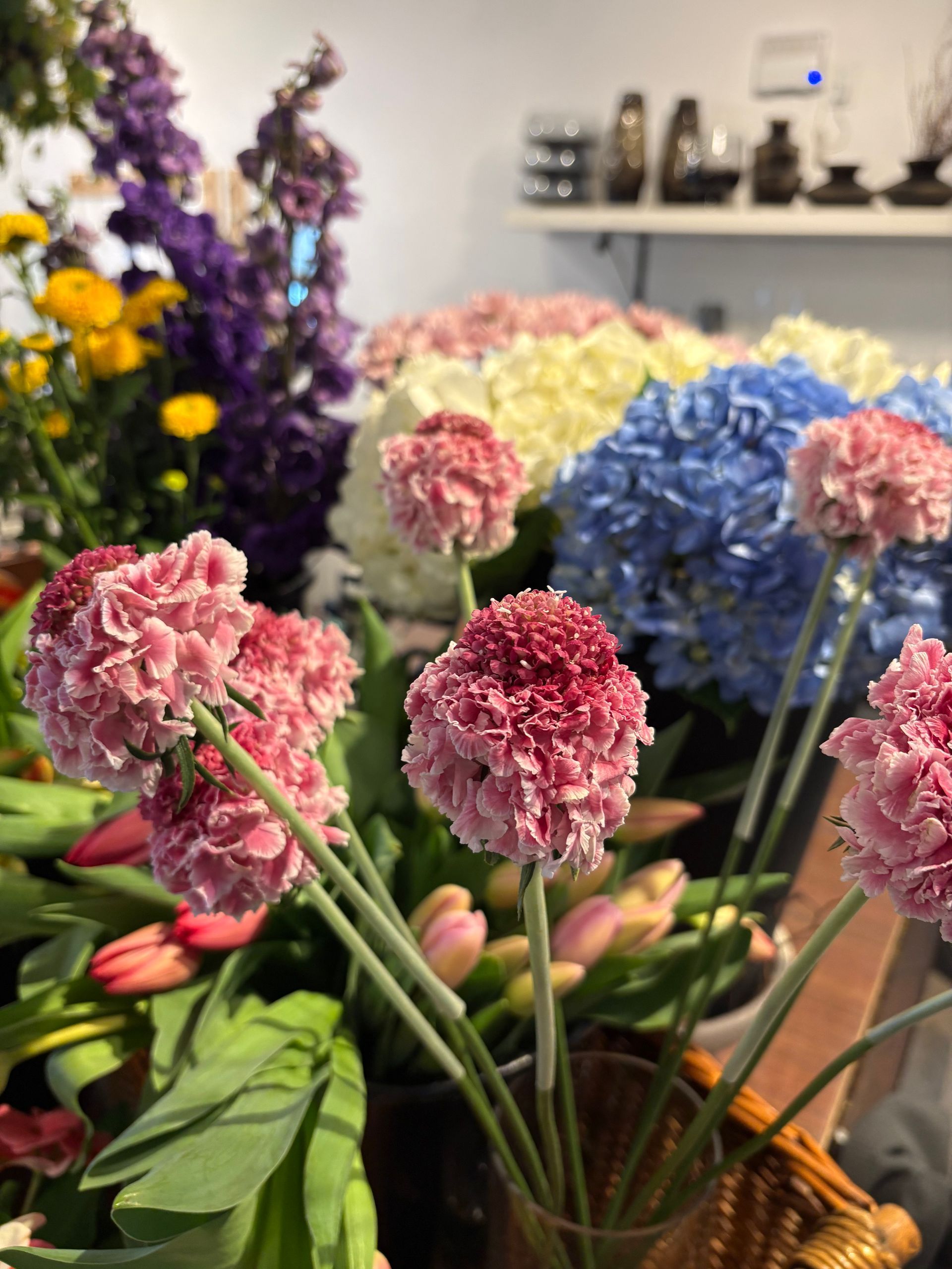 Des hortensias et des œillets roses et bleus dans une vitrine de fleuriste, avec des fleurs violettes en arrière-plan.