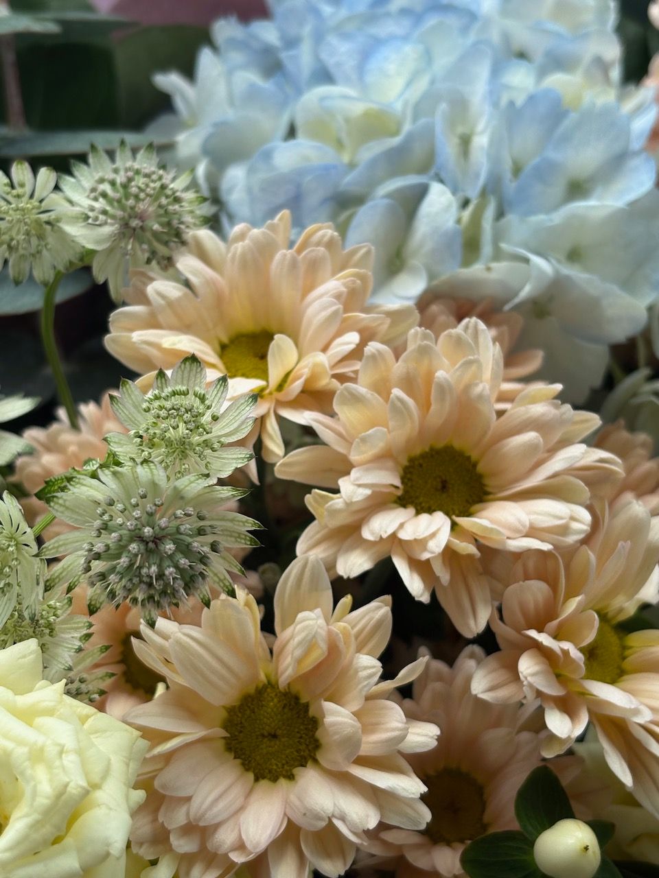Un bouquet composé de fleurs aux tons pastel variés, notamment des marguerites pêche et des fleurs bleu pâle.