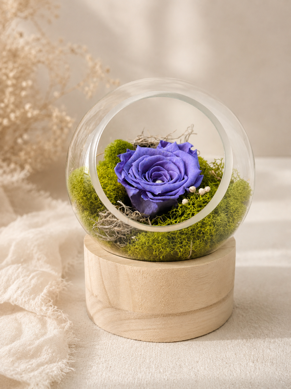 Rose violette sous un dôme de verre transparent sur un socle beige, entourée de mousse verte.