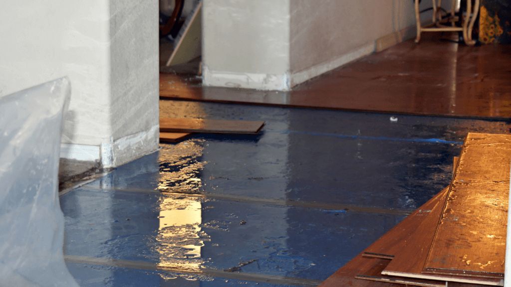 Water Removal Richboro PA