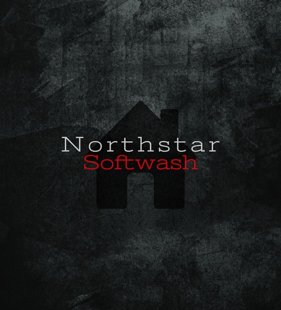 Driveway Pressure Washing in Eugene, OR Northstar Softwash LLC