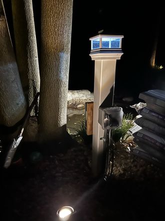 A light post is lit up at night next to a tree.